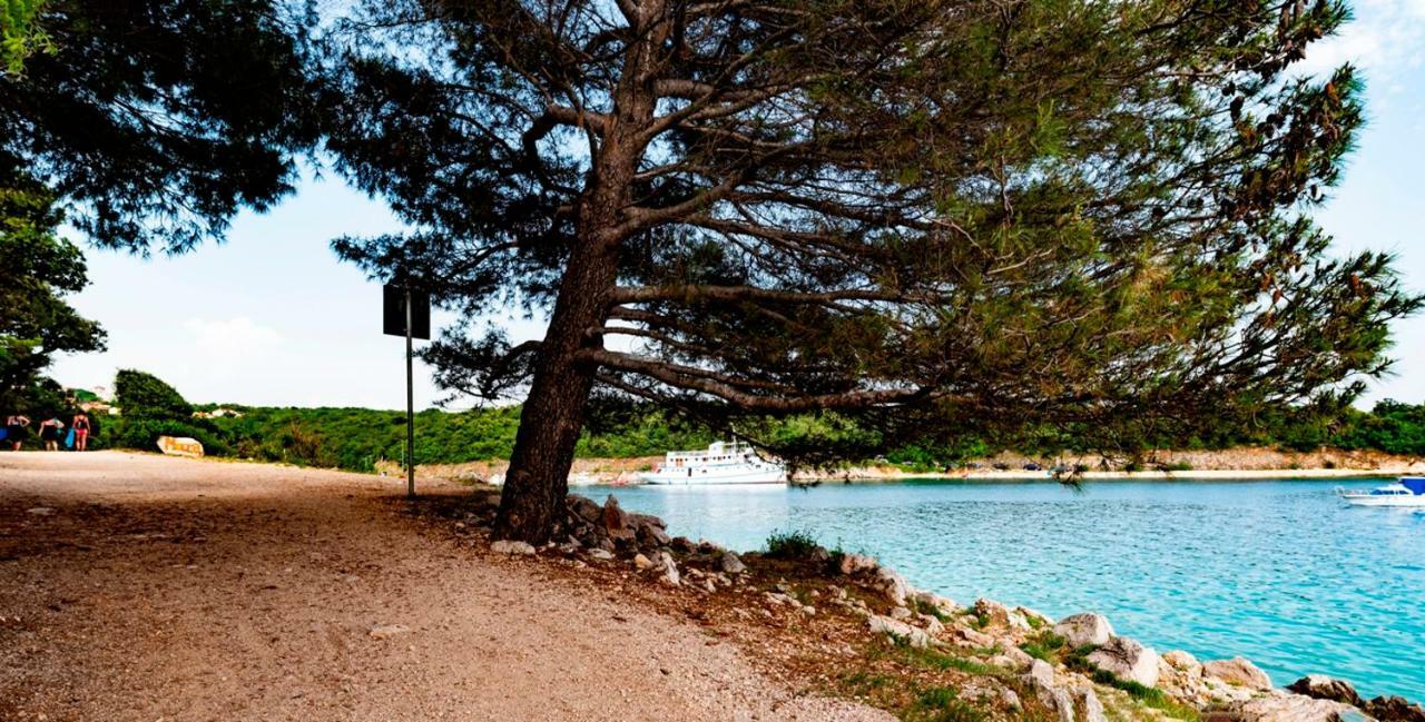 Lavanda Apartments&Studios Pinezići Εξωτερικό φωτογραφία